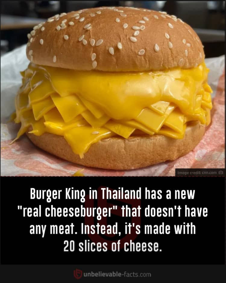 Real cheeseburger