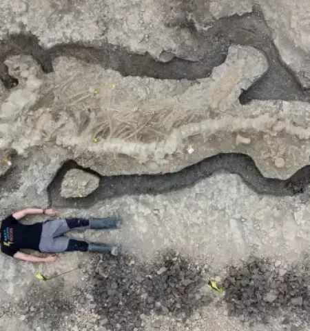 Picture 100 Weird Facts That Sound Too Bizarre to be True