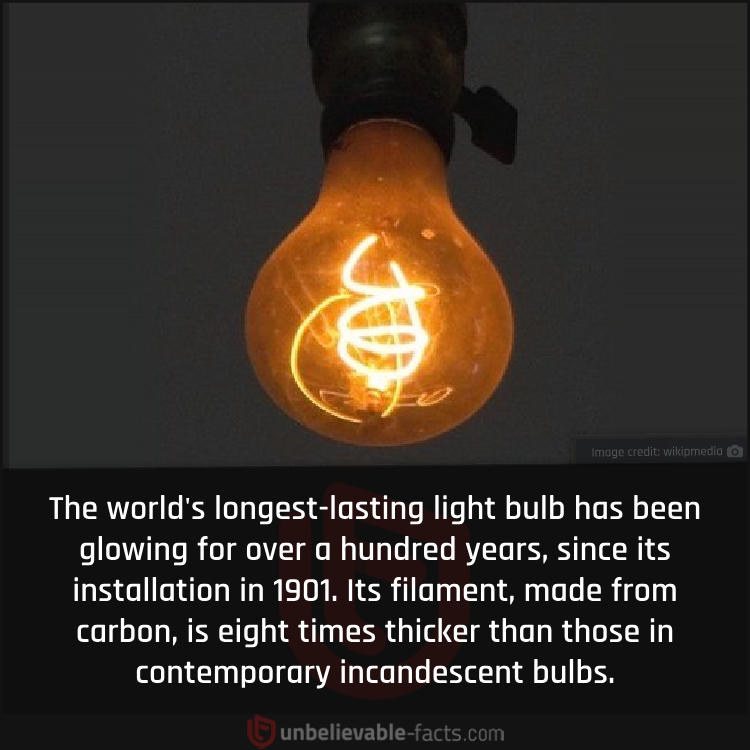 World's longest burning light bulb
