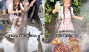 Picture Chinese Food Blogger Fined $18,500 for Illegally Consuming Great White Shark