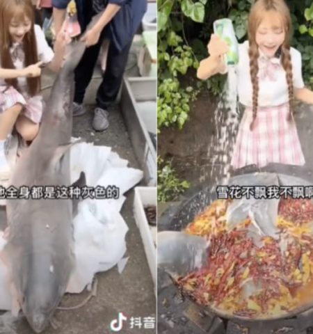 Picture Chinese Food Blogger Fined $18,500 for Illegally Consuming Great White Shark