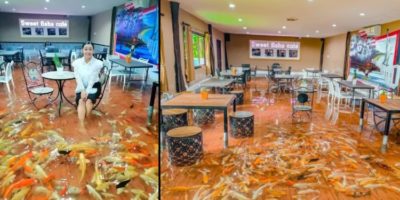 Picture A Café in Thailand Has Customers Dining in Ankle-Deep Water Filled with Fish