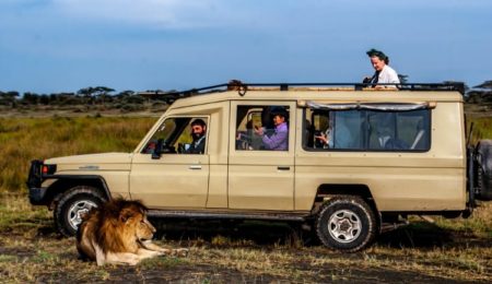 Why Don’t Lions Attack People in a Safari Vehicle?