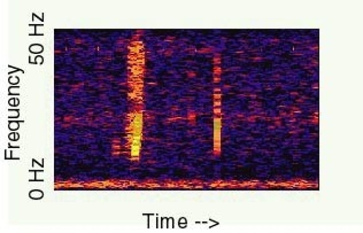 Spectrogram of the Bloop