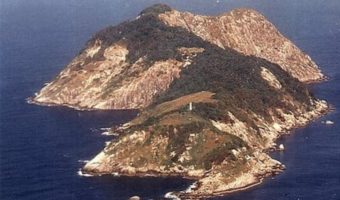 Picture What Makes Snake Island the Most Frightening Place on Earth?