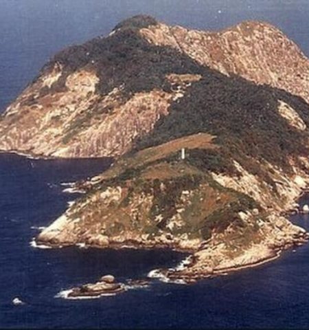 Picture What Makes Snake Island the Most Frightening Place on Earth?