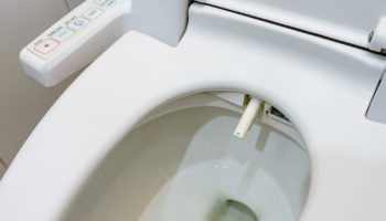 Picture As Many as 70% of People Worldwide Don’t Use Toilet Paper!