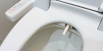 Picture As Many as 70% of People Worldwide Don’t Use Toilet Paper!