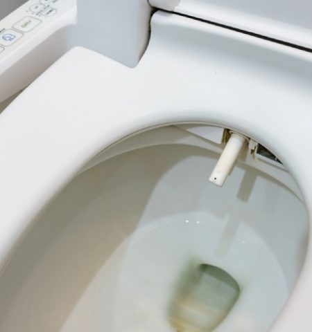 Picture As Many as 70% of People Worldwide Don’t Use Toilet Paper!