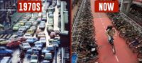 Picture How the Netherlands Was Transformed into a Cyclist’s Paradise