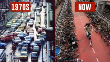 Picture How the Netherlands Was Transformed into a Cyclist’s Paradise