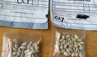 Picture Why Did Thousands of U.S. Homes Receive Mystery Seeds of Unknown Origin in 2020?