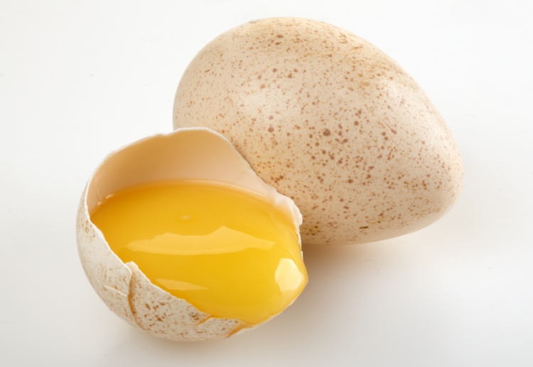 Cracked turkey egg