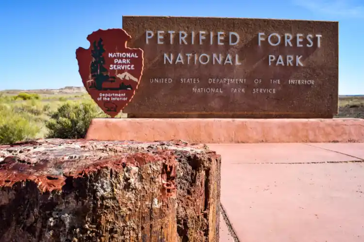 Petrified Forest Sign Board