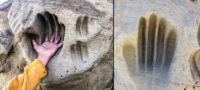 Picture Who Carved the Giant Handprints in the White Mountain Petroglyphs, Wyoming?