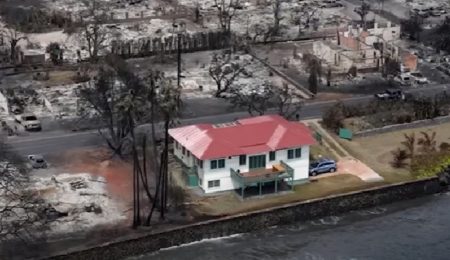 How Did the Red House in Hawaii Survive the Wildfires?