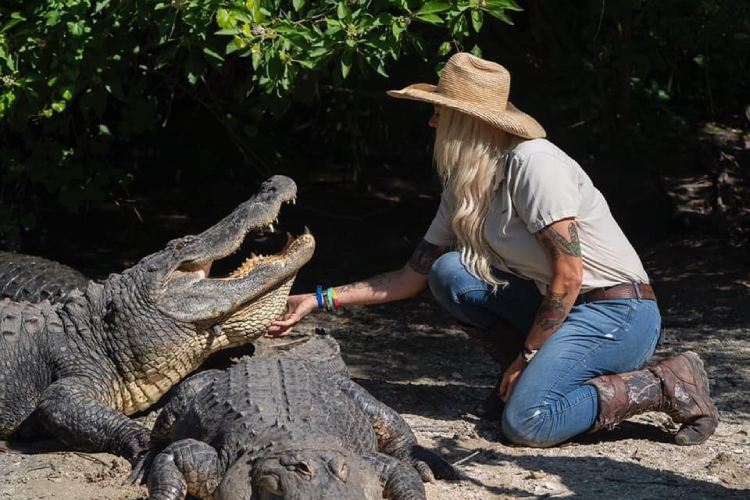 Savannah with giant crocodiles