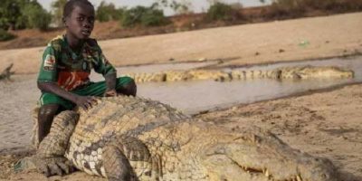Picture Humans and Crocodiles Live in Harmony in the Village of Burkina Faso in Africa