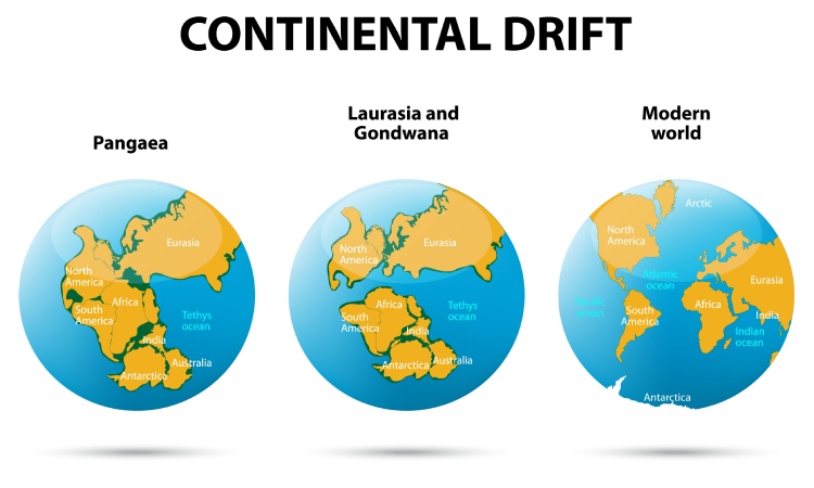 Continent Drift
