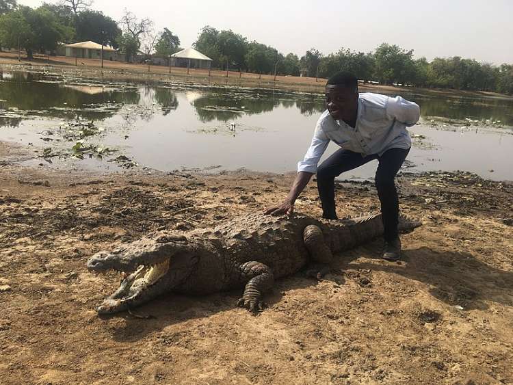 Humans and crocodiles have co-existed in this African village