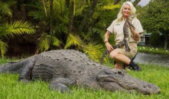 Picture Meet Savannah Boan – The Woman Who Tames Enormous Reptiles at Gatorland