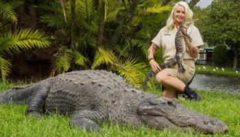 Picture Meet Savannah Boan – The Woman Who Tames Enormous Reptiles at Gatorland