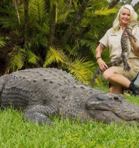Picture Meet Savannah Boan – The Woman Who Tames Enormous Reptiles at Gatorland