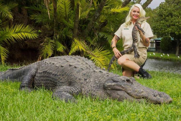 Savannah Boan's love for crocodiles and alligators