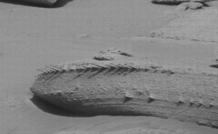 Images from the car-sized robot depict spikes protruding from a rock at the base of Gale Crater