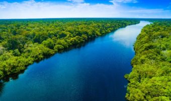 Picture Why Are There No Bridges Across the Amazon River?