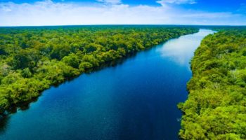 Picture Why Are There No Bridges Across the Amazon River?