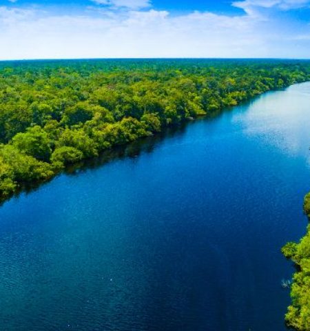 Picture Why Are There No Bridges Across the Amazon River?