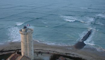 Picture What Causes Square Waves and Why Are They Dangerous?