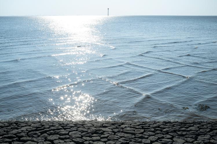 Square waves near the shore