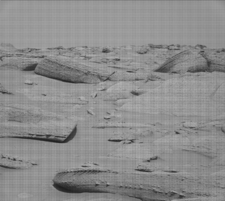 The bone-like rock discovered by Curiosity