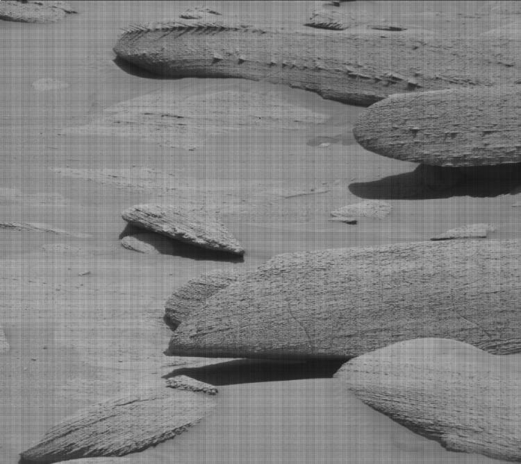 A strange bone-like rock on Mars