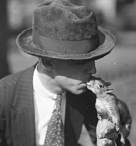 Picture When Squirrels Ruled America’s Homes as Favorite Pets