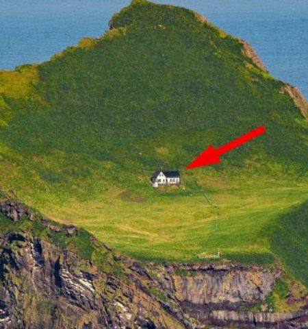 Picture What Is The Story Behind the World’s Loneliest House on a secluded Island?