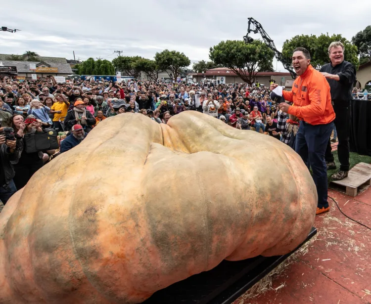 The 2,749-pound world-record pumpkin