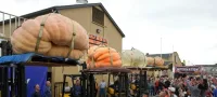 Picture Minnesota Man Sets World Record with 2,749lb Pumpkin