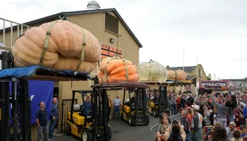 Picture Minnesota Man Sets World Record with 2,749lb Pumpkin
