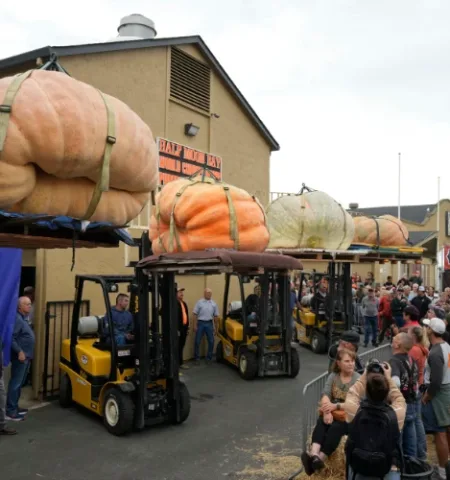 Picture Minnesota Man Sets World Record with 2,749lb Pumpkin