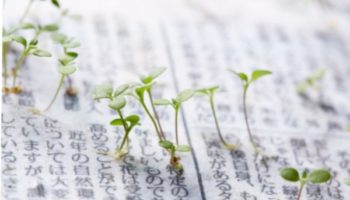 Picture The Plantable “Green Newspaper” of Japan