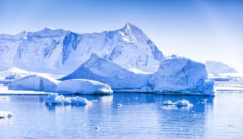 Picture There Are No Spiders in Antarctica