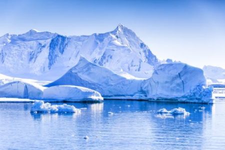 Picture There Are No Spiders in Antarctica