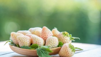 Picture Pineberry – The Blend of Pineapple and Strawberry