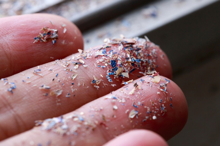 Microplastics, tiny particles found in various everyday products, have been detected inside humans