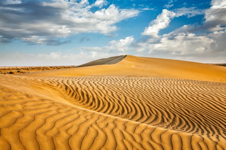 Phalodi is located in the Thar desert