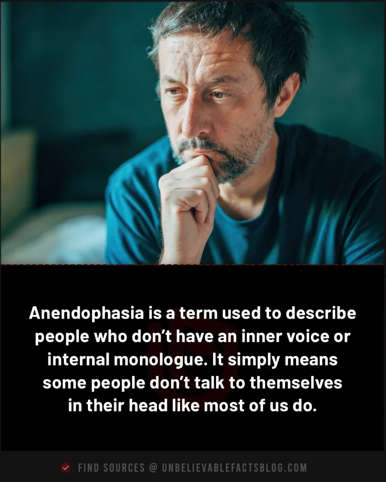 Anendophasia is a concept describing the lack of an inner voice.