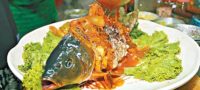 Picture The Yin Yang Fish Meal Is So Cruel that Even Chefs Refuse to Serve It
